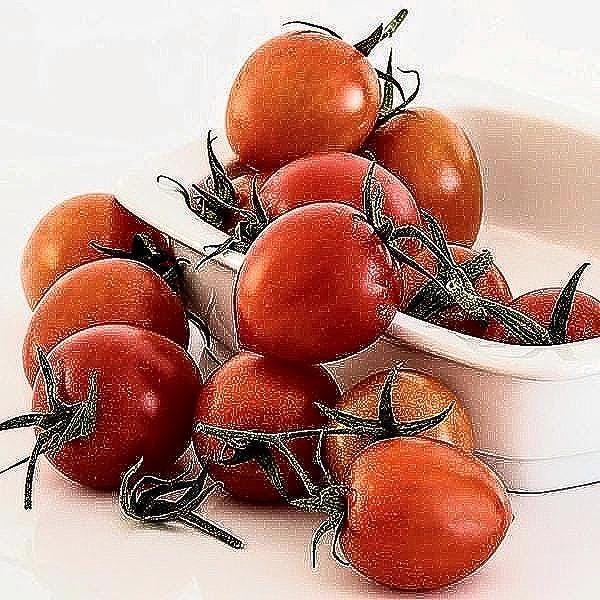 A white bowl filled with ripe, red tomatoes sits on a white surface, surrounded by additional tomatoes.