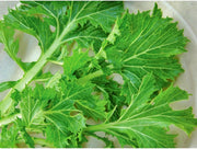 Mizuna Mustard Greens