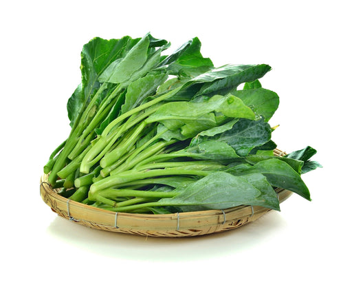 Chinese Big Stem Broccoli – Heirloom Vegetable Seeds | Cold Tolerant, Crisp Stems