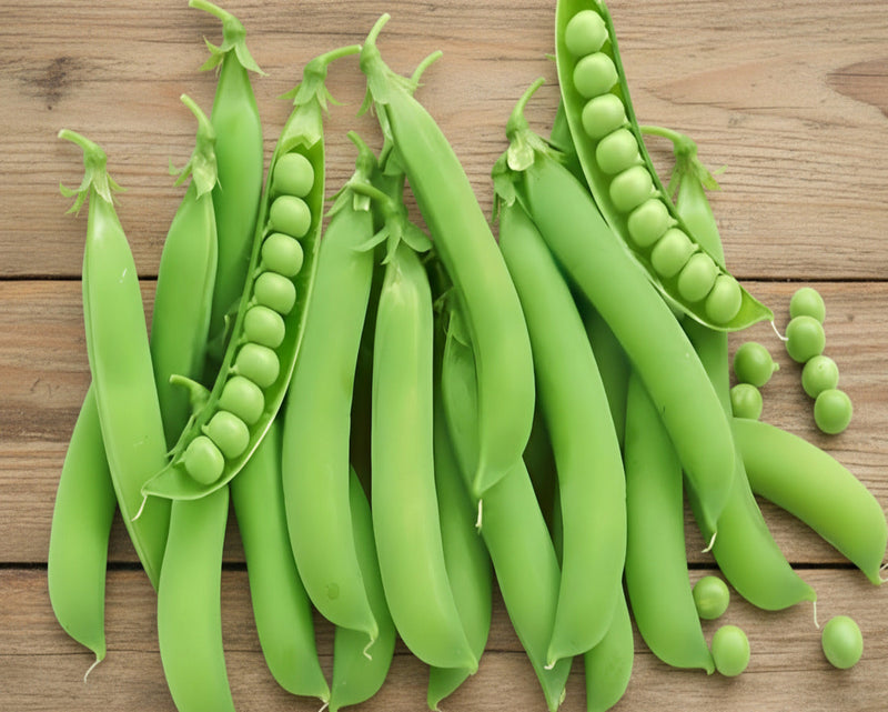 Heirloom Pea Seeds – Lincoln Homesteader | High Yield, Easy Shelling Peas