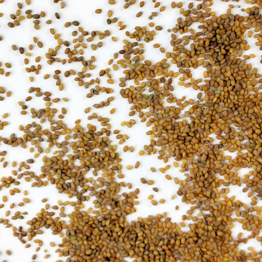 Wild Arugula Seeds – Heirloom, Non GMO, Fast Growing Peppery Leafy Greens