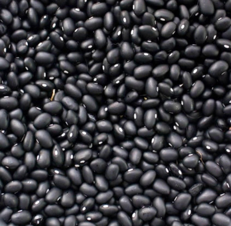 Black Turtle Beans | Dry Bush Beans Heirloom Garden Seeds – Disease Resistant, Easy to Grow