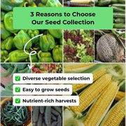 Fall Vegetable Garden Seed Collection