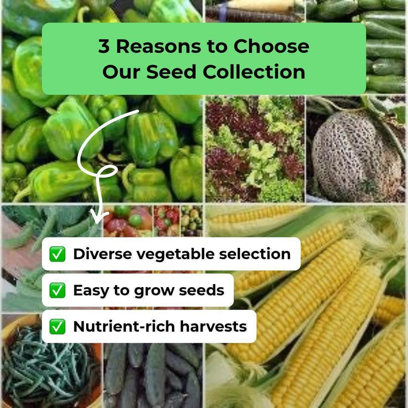 Fall Vegetable Garden Seed Collection