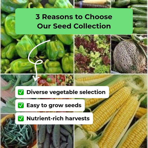 Fall Vegetable Garden Seed Collection