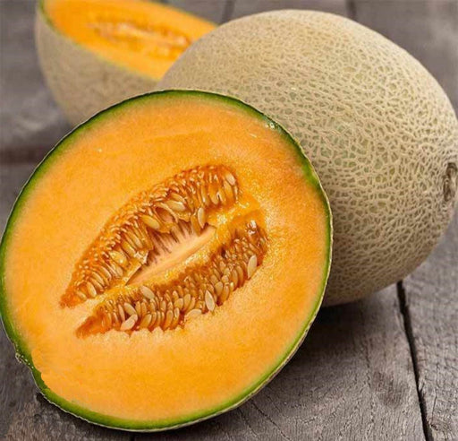 Hearts of Gold Cantaloupe - Heirloom Cantaloupe Seeds | Large Oval Melon, Sweet Juicy Fruit