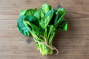 Giant Noble Spinach Heirloom Seeds – Large Leaf, Slow Bolt, Non GMO Garden