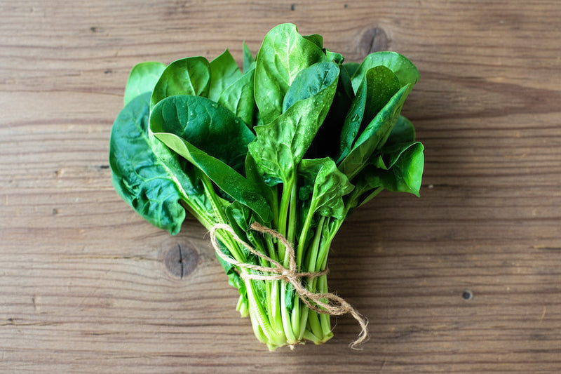 Giant Noble Spinach Heirloom Seeds – Large Leaf, Slow Bolt, Non GMO Garden