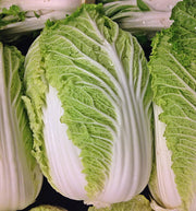 Michihili Chinese Cabbage