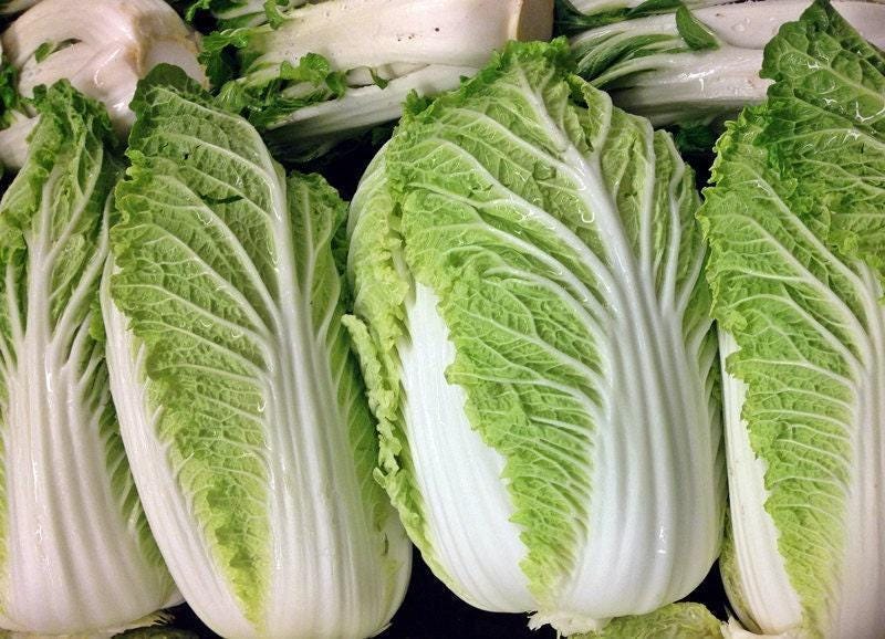 Michihili Chinese Cabbage