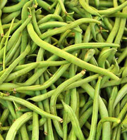Stringless Green Beans - Landreth Bush Heirloom Seeds | GMO-Free, Easy Grow