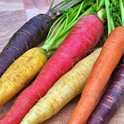Rainbow Garden Seeds | Heirloom Seed Mix Vegetable Collection - Organic Assortment