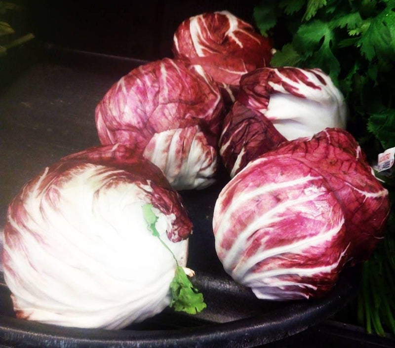 Palla Rosa Radicchio Seeds – Italian Heirloom Vegetable Garden Greens | Dense Round Heads