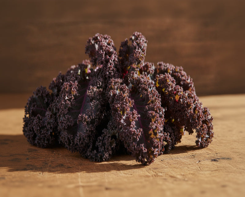 Frisé Rouge Kale - Heirloom Purple Stem Seeds | Organic, Nutrient Rich Greens