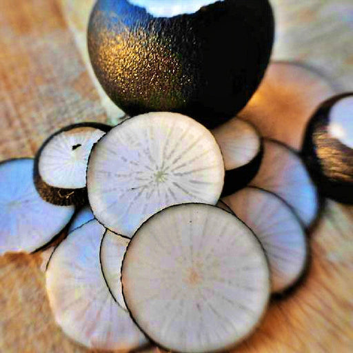 Black Spanish Radish - Heirloom Round Root Vegetable Seeds | Box Garden