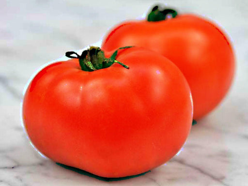Sub Arctic Plenty Tomato