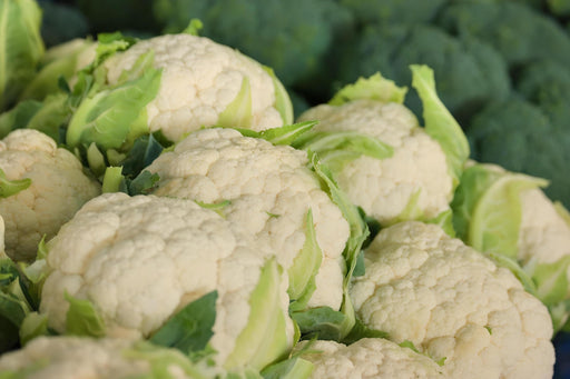 Self Blanche Cauliflower - Heirloom Seeds | High Germination Vegetable Garden
