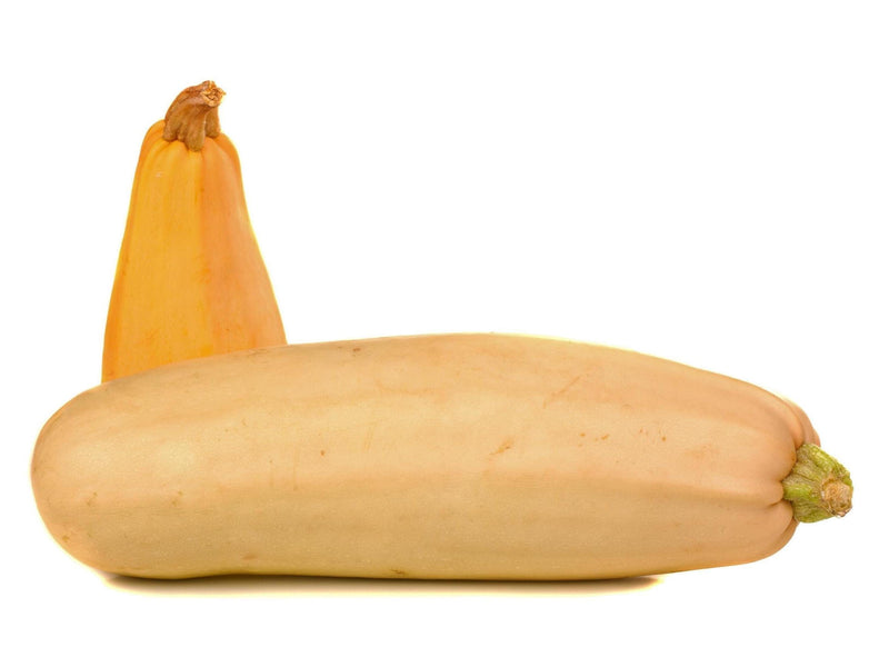 Winter Squash Seeds - Heirloom Vegetable Seed Collection | Non GMO Garden Seeds