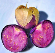Purple Tomatillo Seeds - Heirloom Sweet Fruit | Open Pollinated, Non GMO