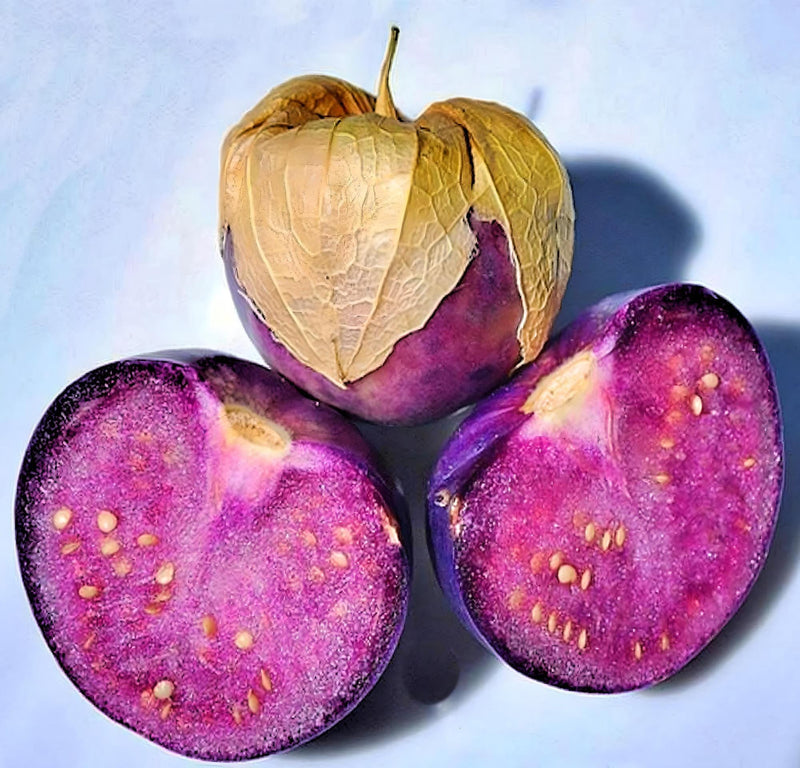 Purple Tomatillo Seeds - Heirloom Sweet Fruit | Open Pollinated, Non GMO