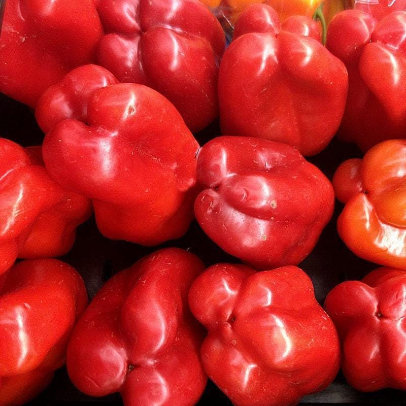 Big Red Sweet Bell Pepper – Heirloom Non GMO Seeds, Thick Flesh, Easy To Grow