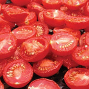 Principe Borghese Tomato