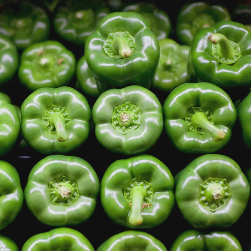 Sweet Pepper Seeds - Cal Wonder Pepper Heirloom, Thick Walled Blocky Fruits