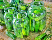 Boston Pickling Cucumber Heirloom Seeds – Organic, Crisp, Dark Green Variety