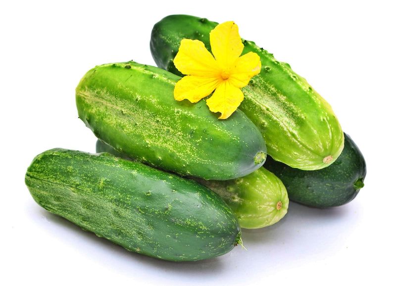 Boston Pickling Cucumber Heirloom Seeds – Organic, Crisp, Dark Green Variety