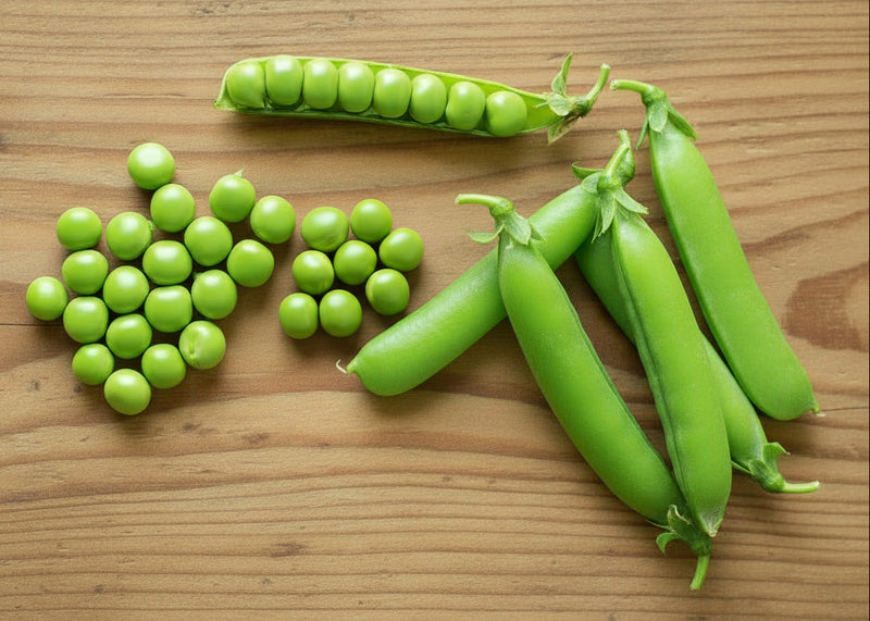 Maxigolt Peas | Heirloom Vegetable Garden Seeds With Sweet Pea Pods