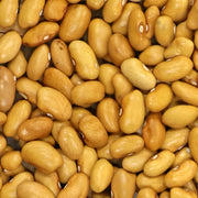 Amarillo Dry Bush Bean