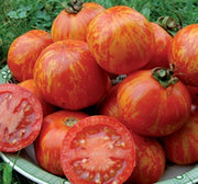 Red Zebra Tomato
