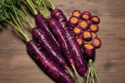 Colorful Carrot Seeds – Heirloom Seed Collection | Red Yellow Purple Carrots