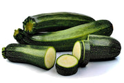 Fordhook Zucchini