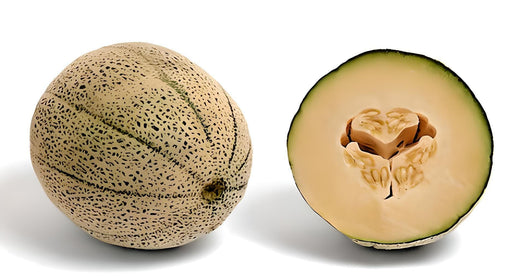 Heirloom Cantaloupe Seeds - Jumbo Large Oval Melon With Sweet Orange Flesh
