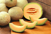 Heirloom Cantaloupe Seeds - Jumbo Large Oval Melon With Sweet Orange Flesh