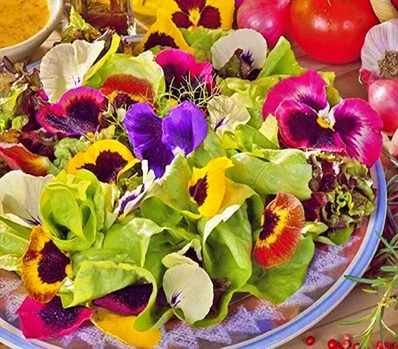 Edible Wildflower Seeds – Heirloom Seed Mix | Easy to Grow Long Bloom Flowers