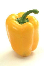 Golden Cal Wonder Pepper – Heirloom Sweet Bell Peppers With Thick Flesh