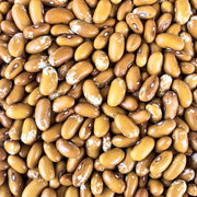 Jacob's Cattle Gold Bean