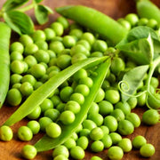 Thomas Laxton Peas - Heirloom Pea Seeds | Non GMO, Powdery Mildew Resistant