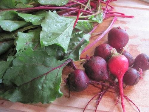 Heirloom Beet Seed Collection