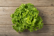 Green Ice Lettuce - Heirloom Leaf Lettuce Seeds | Crisp Green Leaves & Nutritious