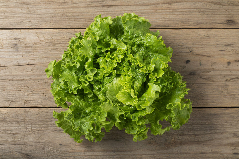 Green Ice Lettuce - Heirloom Leaf Lettuce Seeds | Crisp Green Leaves & Nutritious