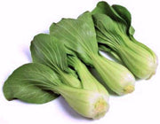 Pak Choy Seeds - Heirloom Chinese Cabbage | Organic, Non GMO, Open Pollinated
