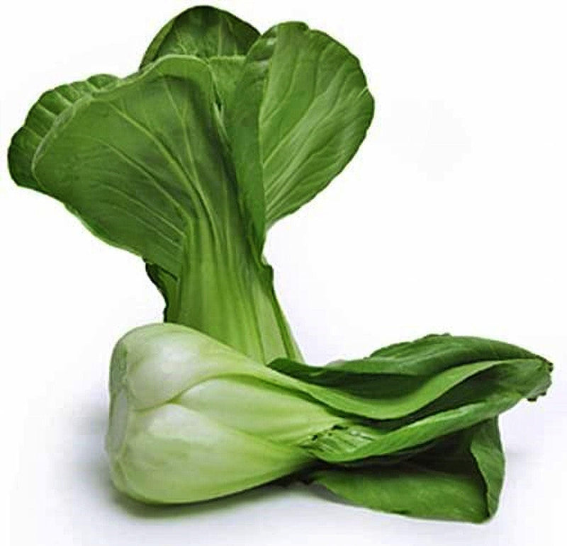 Pak Choy Seeds - Heirloom Chinese Cabbage | Organic, Non GMO, Open Pollinated