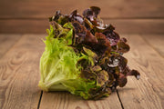 Ruby Red Lettuce