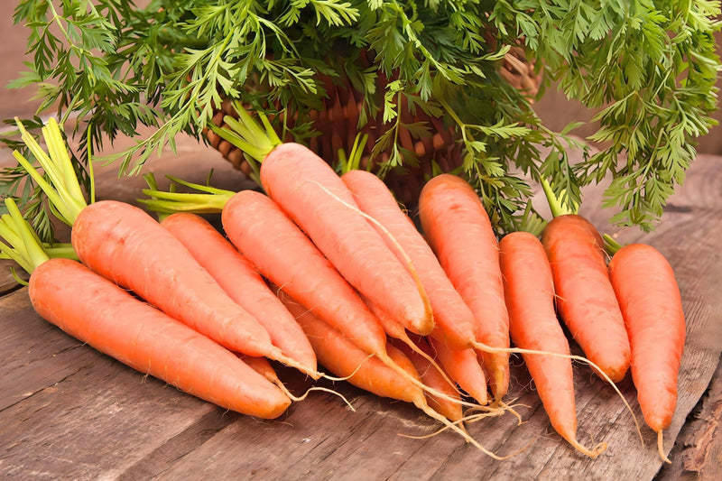 Danvers Carrot Seeds - Heirloom, Heat Tolerant Vegetable Garden Variety