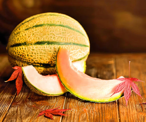 Planters Jumbo Cantaloupe - Heirloom Melon Seeds | Open Pollinated, Non GMO