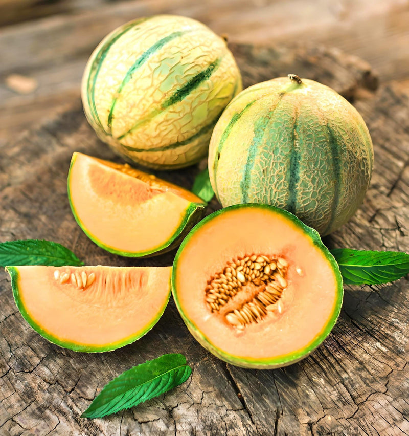 Planters Jumbo Cantaloupe - Heirloom Melon Seeds | Open Pollinated, Non GMO