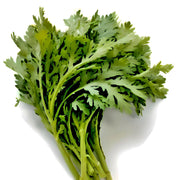 Chop Suey Greens - Heirloom Asian Edible Greens | Non GMO Seeds for Winter Growing